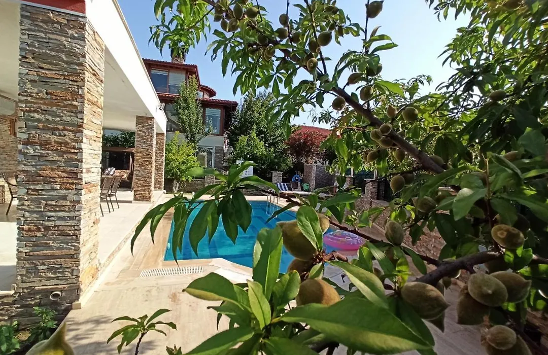 Villa Dora-1