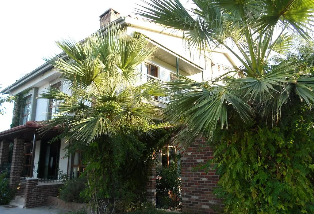 Panion Park Residence-1