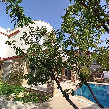 Villa Dora-2