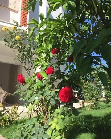 Sueleyman Sargin Sitesi-3