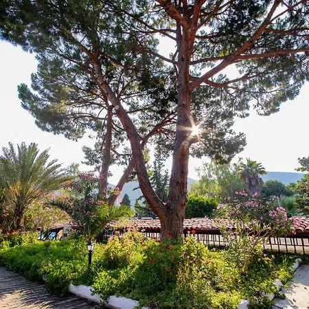 Pıgale Beach Resort-3