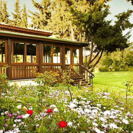 Naturmed Thermal Springs And Health Center-3